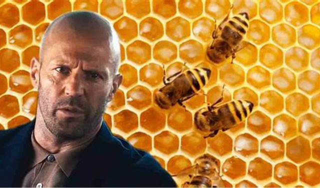 Обзор на фильм Пчеловод