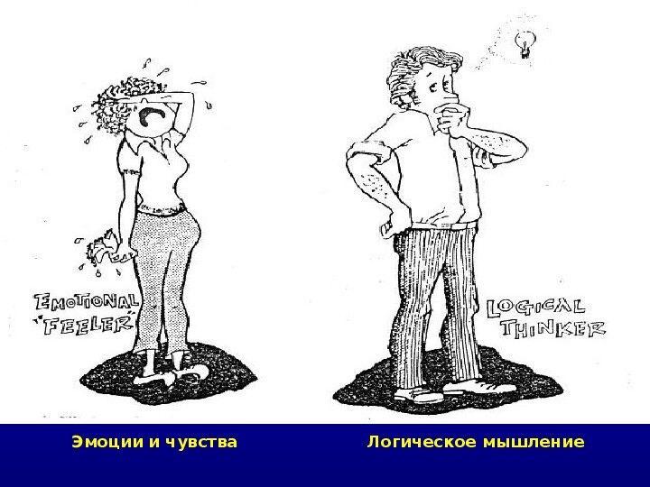 Мужчина и женщина. Шкала разума и шкала эмоций