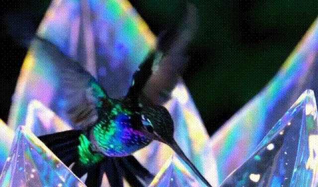 Природа - шедевральна и оптимальна...