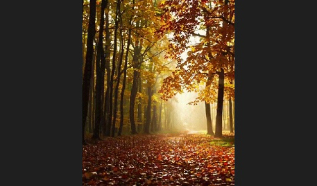 Вот и осень...