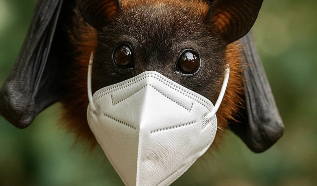 А почему вирус "изолировали" не у источника, и боролись со следствиями?