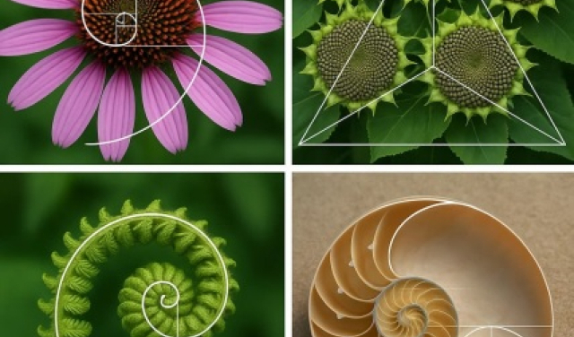 Если язык бога известен (науке по крайней мере), то чем занимаются бородачи в рясах?