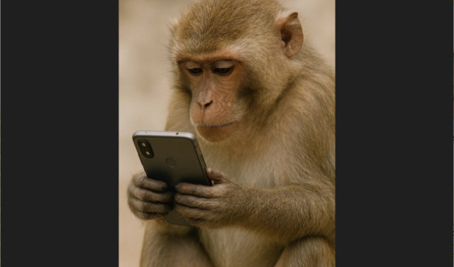 Если абизянке дать смартфон - что изменится?