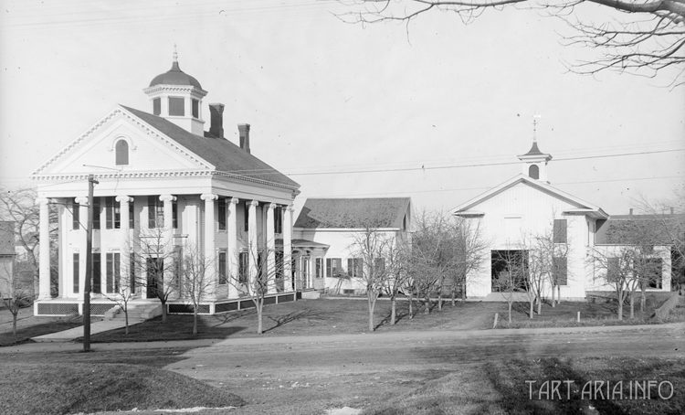 Техденсер. Анатомия фриза. Часть 1