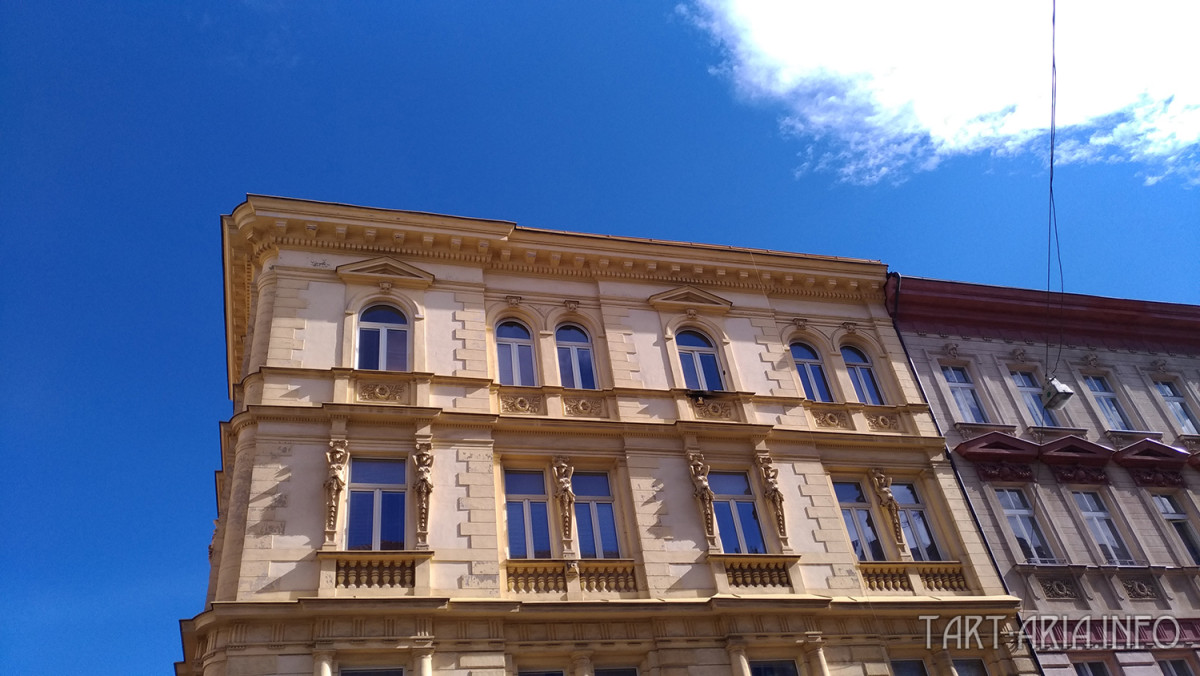 Техденсер. Анатомия фриза. Часть 1