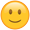 Slightly-Smiling-Face