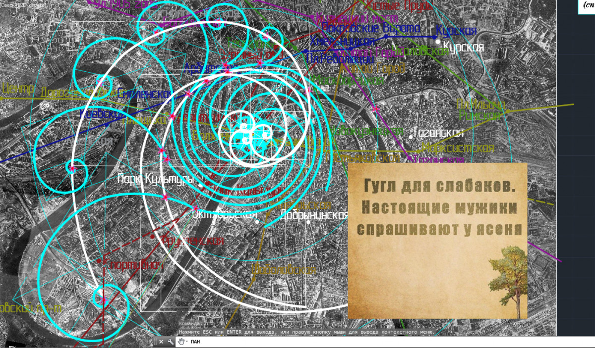 Дорогая моя. Столица
